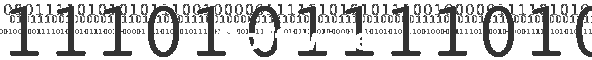 Software