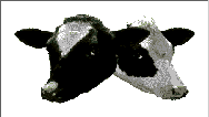 TuCows