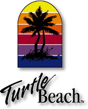 TURTLEBEACH1.gif (7334 bytes)