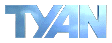 tyan.gif (4329 bytes)